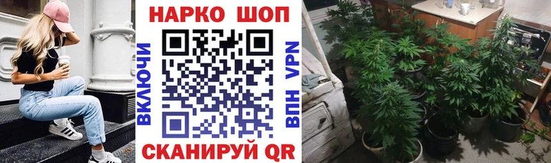 Купить наркотик Чебаркуль Бошки Шишки  Галлюциногенные грибы  Гашиш  Codein  COCAIN  Меф мяу мяу 