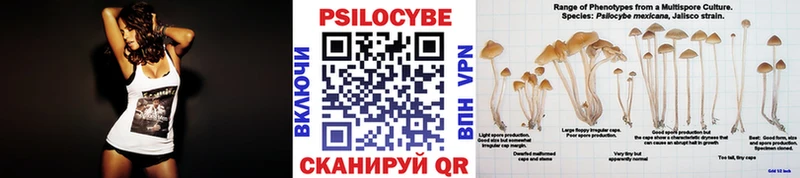 Галлюциногенные грибы Magic Shrooms  цена   Чебаркуль 